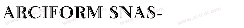 ARCIFORM SNAS字体转换